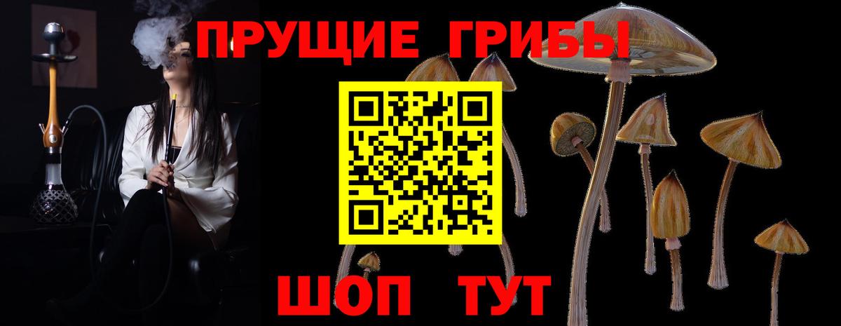 Кандалакша  Галлюциногенные грибы мухоморы  Вход с VPN  Псилоцибиновые грибы Psilocybe 
